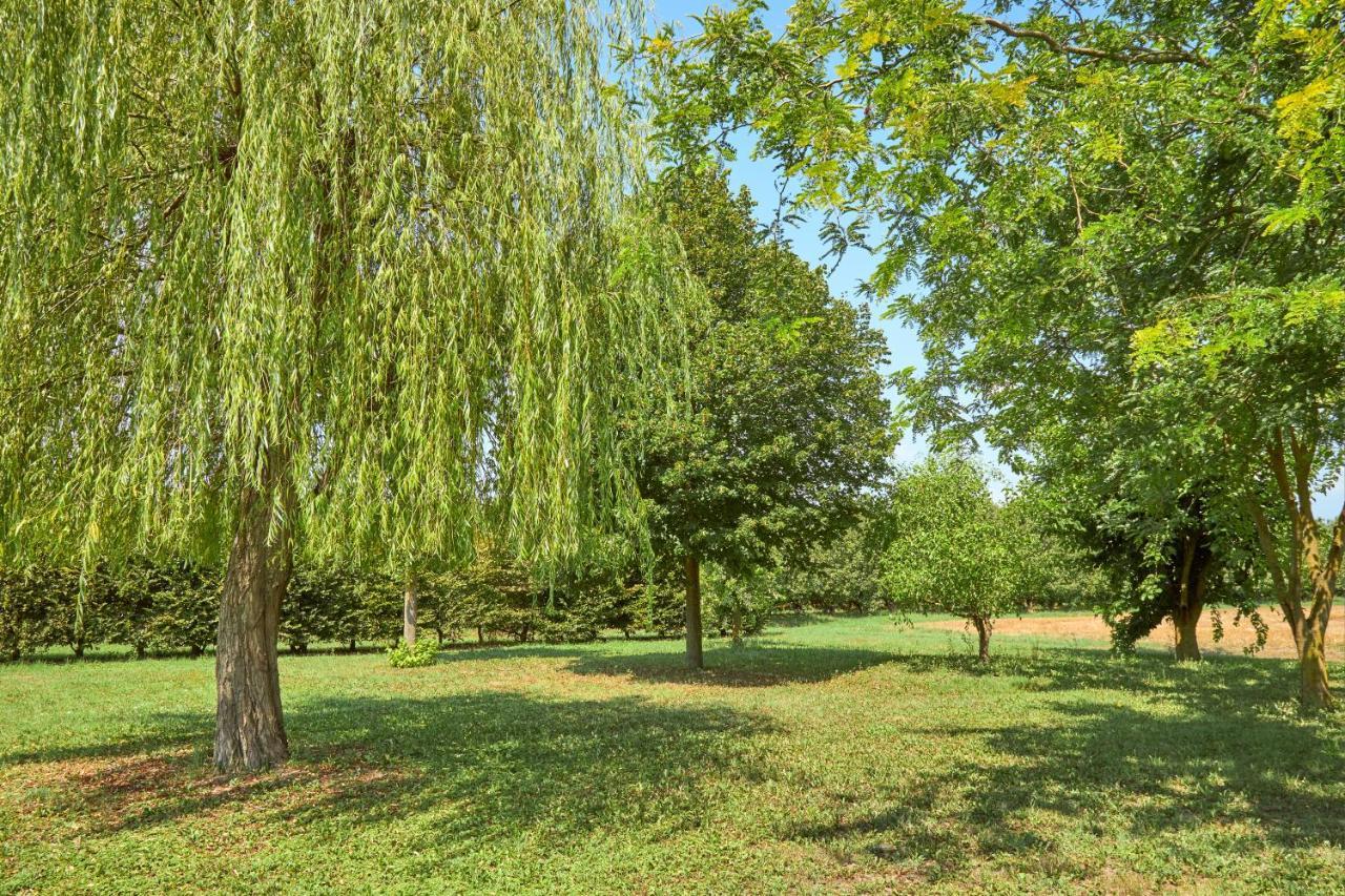 Agriturismo Forzello Ariano nel Polesine Esterno foto